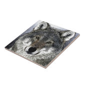 狼の目 タイル (側面)