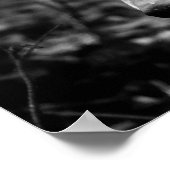 狼の目 ポスター (角)