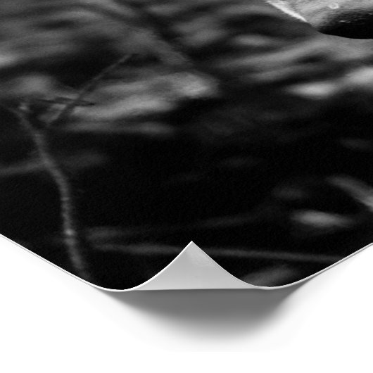 狼の目 ポスター (角)