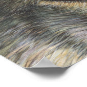 狼の目 ポスター (角)