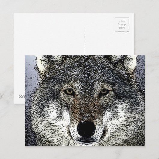 狼の目 ポストカード (正面/裏面)