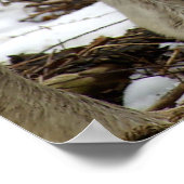 狼の群れ ポスター (角)