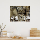 狼の群れ ポスター (キッチン)