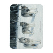 狼の群れ マグネット (縦)