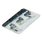 狼の群れ マグネット (左側)