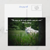 狼の視線が… ポストカード (正面/裏面)