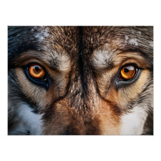 狼の視線 ポスター