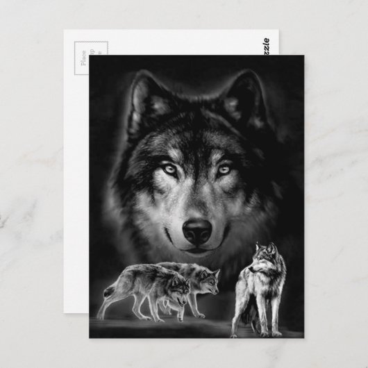 狼 ポストカード (正面/裏面)