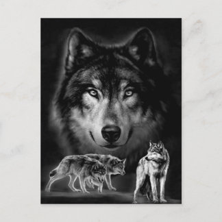 狼 ポストカード