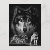 狼 ポストカード (正面)