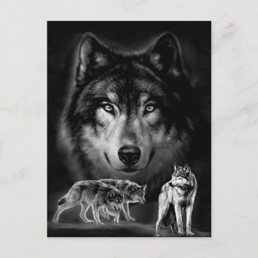 狼 ポストカード (正面)