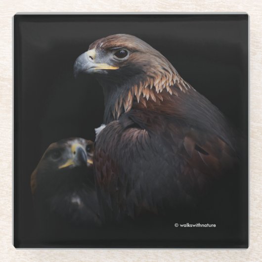 猛威を振るうゴールデンイーグルズバード ガラスコースター (正面)