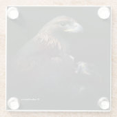 猛威を振るうゴールデンイーグルズバード ガラスコースター (裏面)