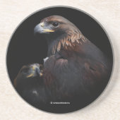 猛威を振るうゴールデンイーグルズバード コースター (正面)