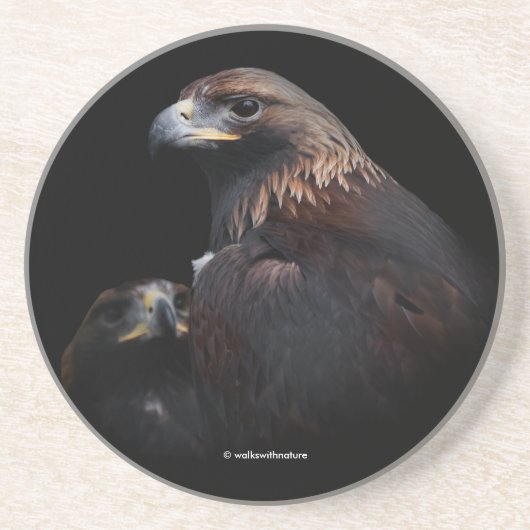 猛威を振るうゴールデンイーグルズバード コースター (正面)