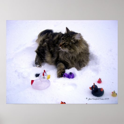 猛烈な雪猫 ポスター (正面)