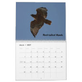 猛禽の年 カレンダー (3月 2027)