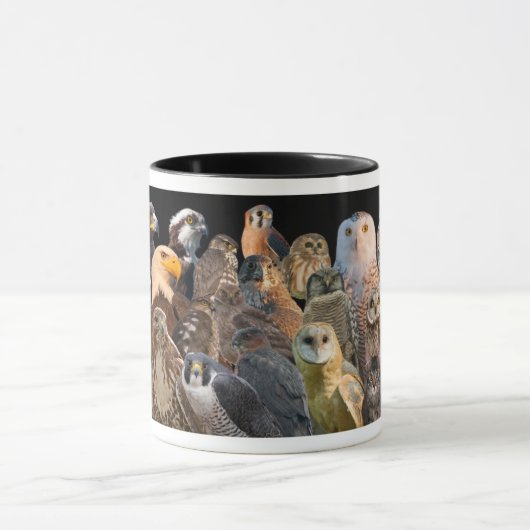 猛禽を持つASIOそしてオーティス マグカップ (中央)