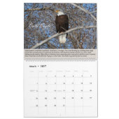猛禽カレンダー カレンダー (3月 2027)