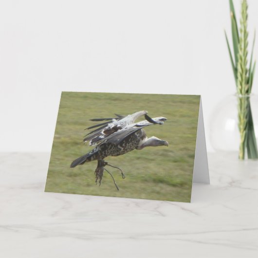猛禽類の猛禽類の鳥類と共に着陸 カード (正面)