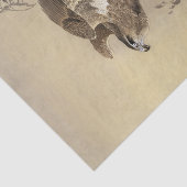 猛禽類アートヴィンテージ 薄葉紙 (詳細)