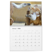 猛禽類 カレンダー (1月 2026)