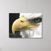 猛禽類 キャンバスプリント (正面)