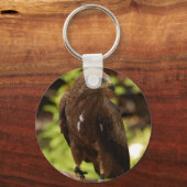 猛禽類 キーホルダー (正面)
