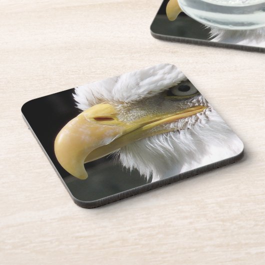 猛禽類 コースター (左側)