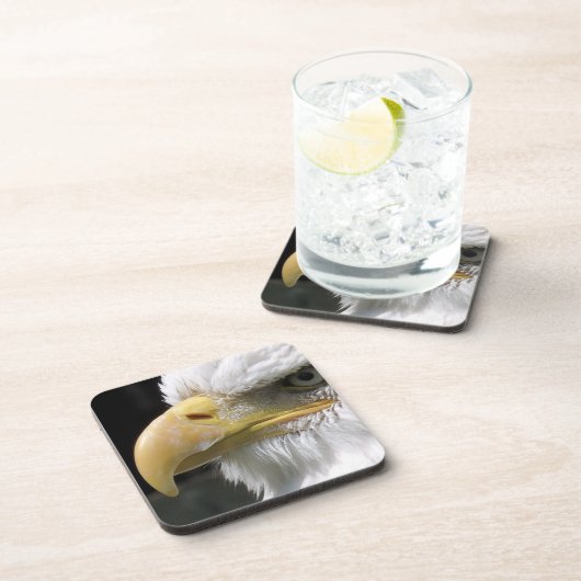 猛禽類 コースター (右側)