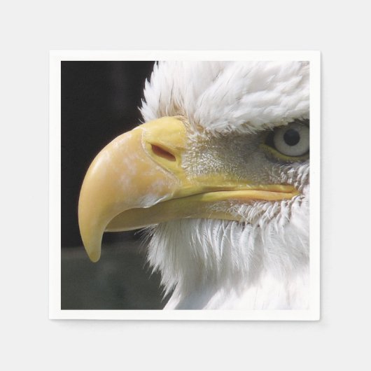 猛禽類 スタンダードカクテルナプキン (正面)