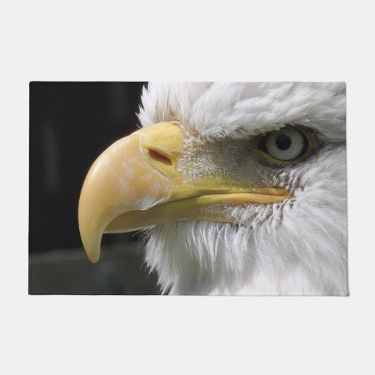 猛禽類 ドアマット (正面)