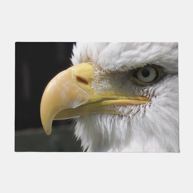 猛禽類 ドアマット (正面)