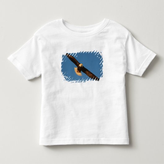 猛禽類 ハクトウワシ 飛翔 カチマク トドラーTシャツ (正面)