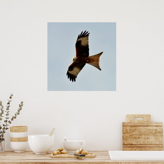猛禽類 ポスター (キッチン)