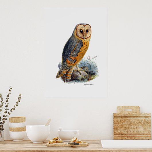 猛禽類 ポスター (キッチン)