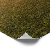 猛禽類 ポスター (角)