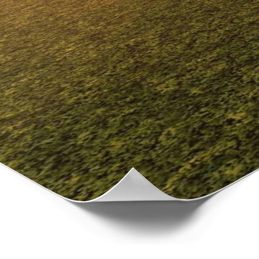 猛禽類 ポスター (角)