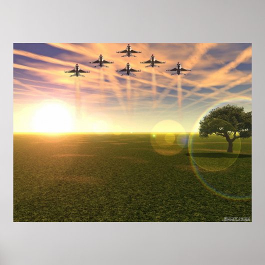 猛禽類 ポスター (正面)