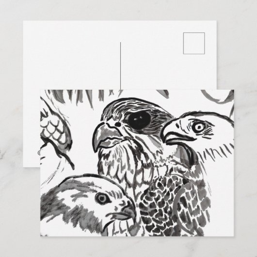 猛禽類 ポストカード (正面/裏面)