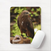 猛禽類 マウスパッド (マウス)