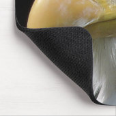 猛禽類 マウスパッド (コーナー)