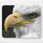 猛禽類 マウスパッド (正面)
