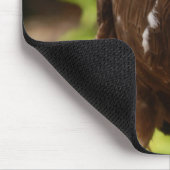 猛禽類 マウスパッド (コーナー)