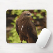 猛禽類 マウスパッド (マウス)
