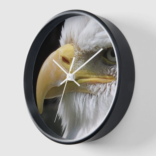 猛禽類 壁時計 (傾斜)