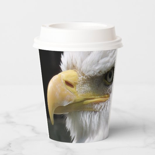 猛禽類 紙コップ (裏面)