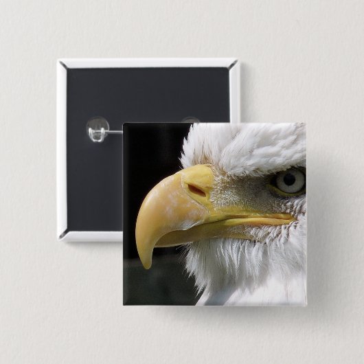 猛禽類 缶バッジ (正面&裏面)