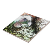 猛禽鳥類 タイル (側面)