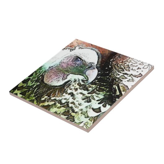 猛禽鳥類 タイル (側面)